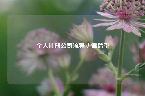 个人注册公司流程法律指引