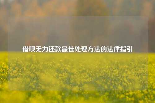 借呗无力还款最佳处理方法的法律指引