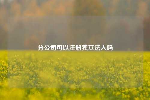 分公司可以注册独立法人吗