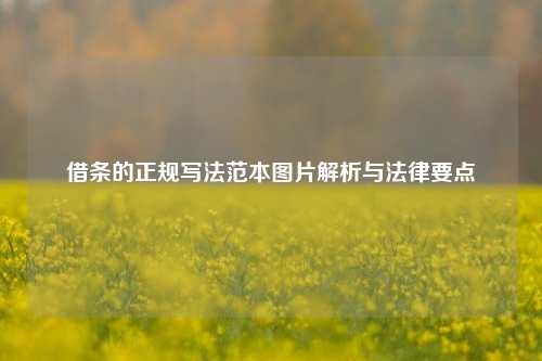 借条的正规写法范本图片解析与法律要点