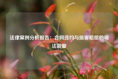 法律案例分析报告：合同违约与损害赔偿的司法裁量