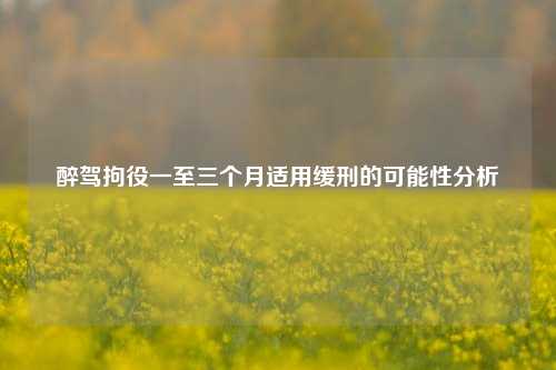 醉驾拘役一至三个月适用缓刑的可能性分析
