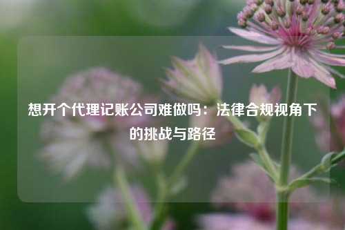 想开个代理记账公司难做吗：法律合规视角下的挑战与路径