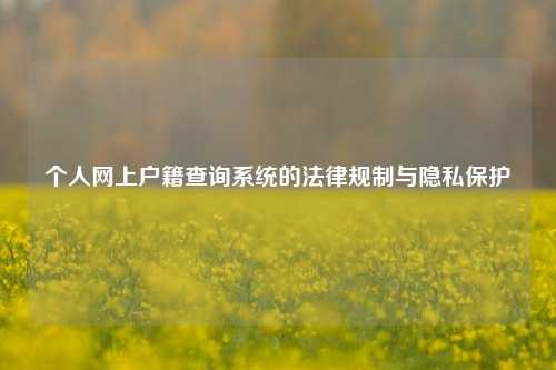 个人网上户籍查询系统的法律规制与隐私保护
