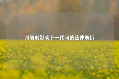 判缓刑影响下一代吗的法律解析