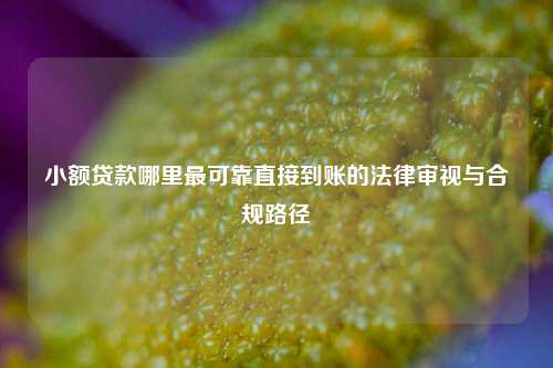 小额贷款哪里最可靠直接到账的法律审视与合规路径
