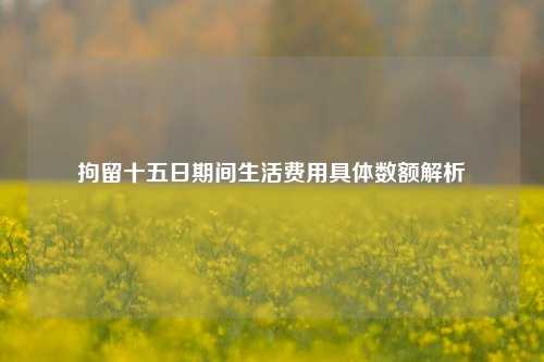 拘留十五日期间生活费用具体数额解析
