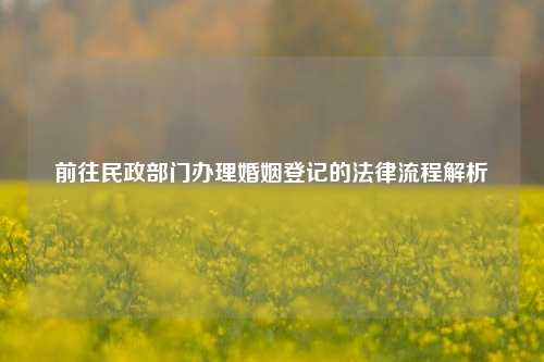 前往民政部门办理婚姻登记的法律流程解析