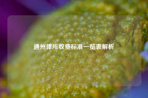 通州律所收费标准一览表解析
