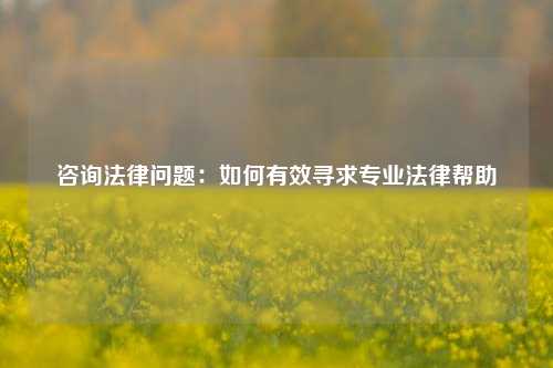 咨询法律问题：如何有效寻求专业法律帮助