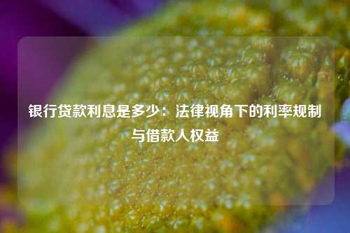 银行贷款利息是多少：法律视角下的利率规制与借款人权益
