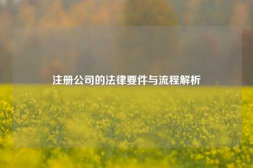 注册公司的法律要件与流程解析